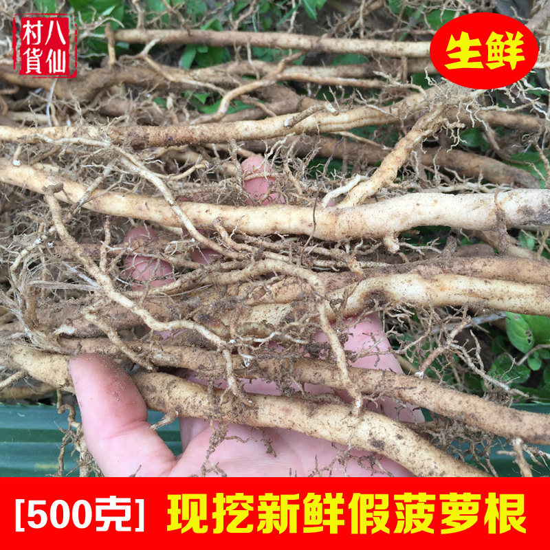 现挖露兜树根 新鲜假菠萝纯根 野菠萝根 中草药材 罗金堆 包邮
