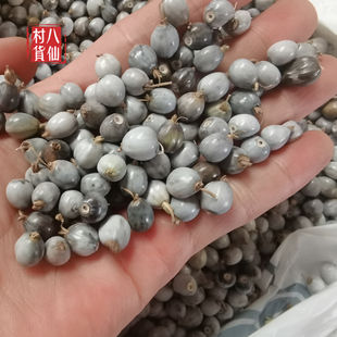 天然草珠子 薏苡手串手工串珠diy饰品项链手链配件文淇同款挂件