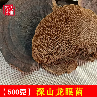 广西龙眼菌毛蜂窝灵芝蜂窝孔菌