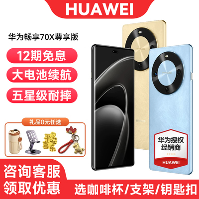 12期免息华为畅享70X尊享版