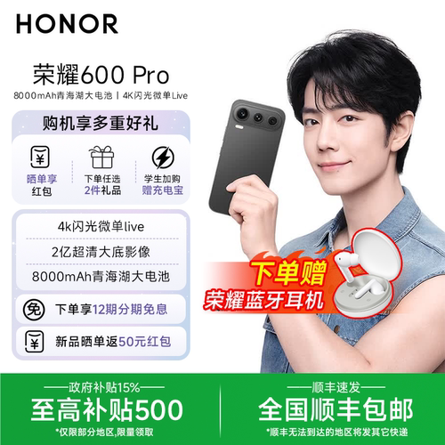 肖战同款荣耀600Pro