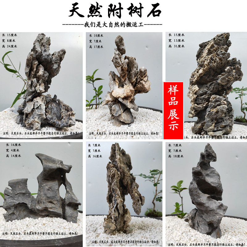 天然装饰造景树青龙石