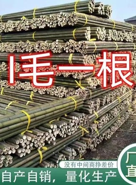 竹竿子菜园搭架各种蔬菜架丝瓜架黄瓜架豆角架番茄架爬藤架竹子棍