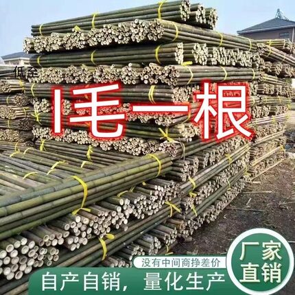 竹竿子菜园搭架各种蔬菜架丝瓜架黄瓜架豆角架番茄架爬藤架竹子棍