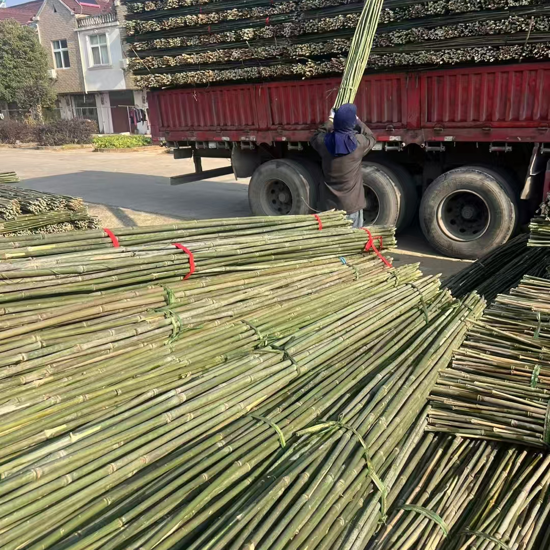 【店长推荐】竹竿子菜园搭架蔬菜架丝瓜架黄瓜架豆角架番茄架爬藤