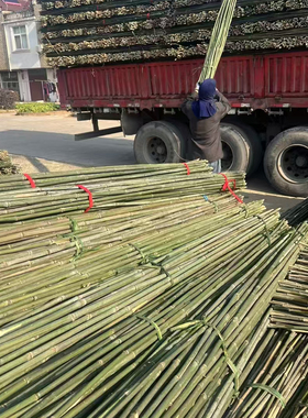 【店长推荐】竹竿子菜园搭架蔬菜架丝瓜架黄瓜架豆角架番茄架爬藤