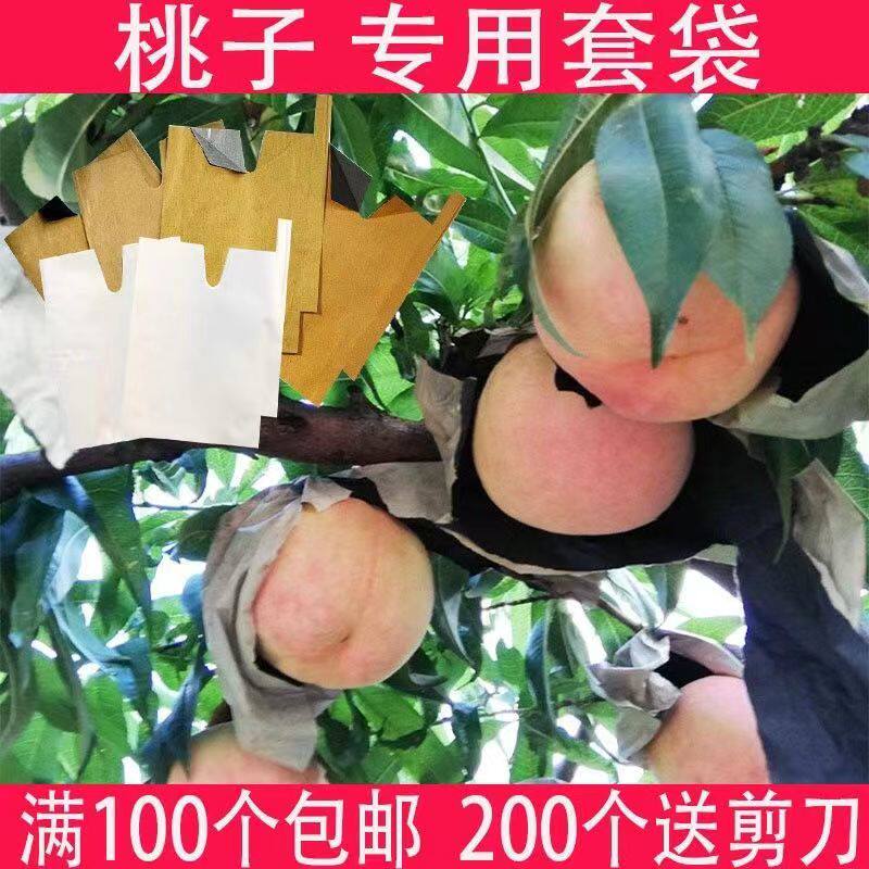 桃子套袋专用袋包桃子袋子油桃毛桃蟠桃黄桃水蜜桃防虫防鸟防晒