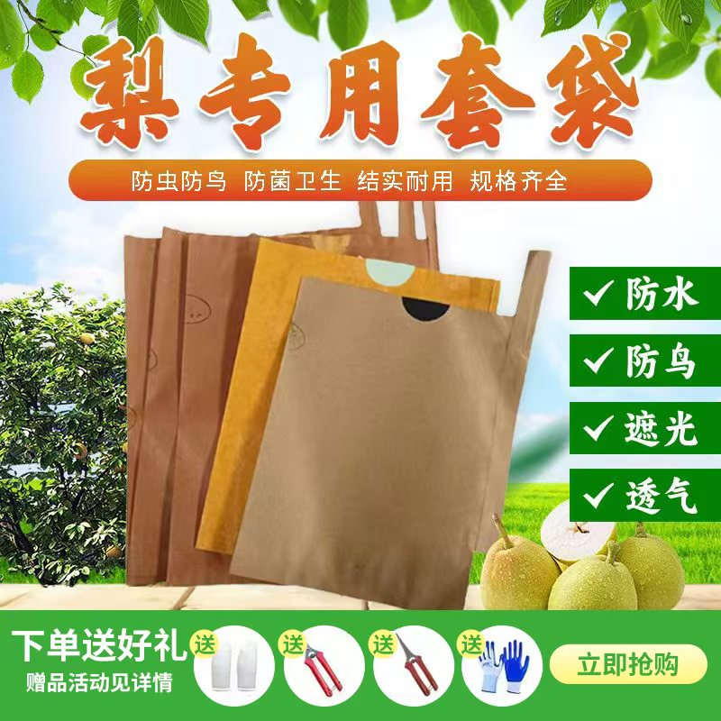 梨子套袋专用袋包苹果的纸袋子橘子桃子枇杷果树水果防虫保护套袋