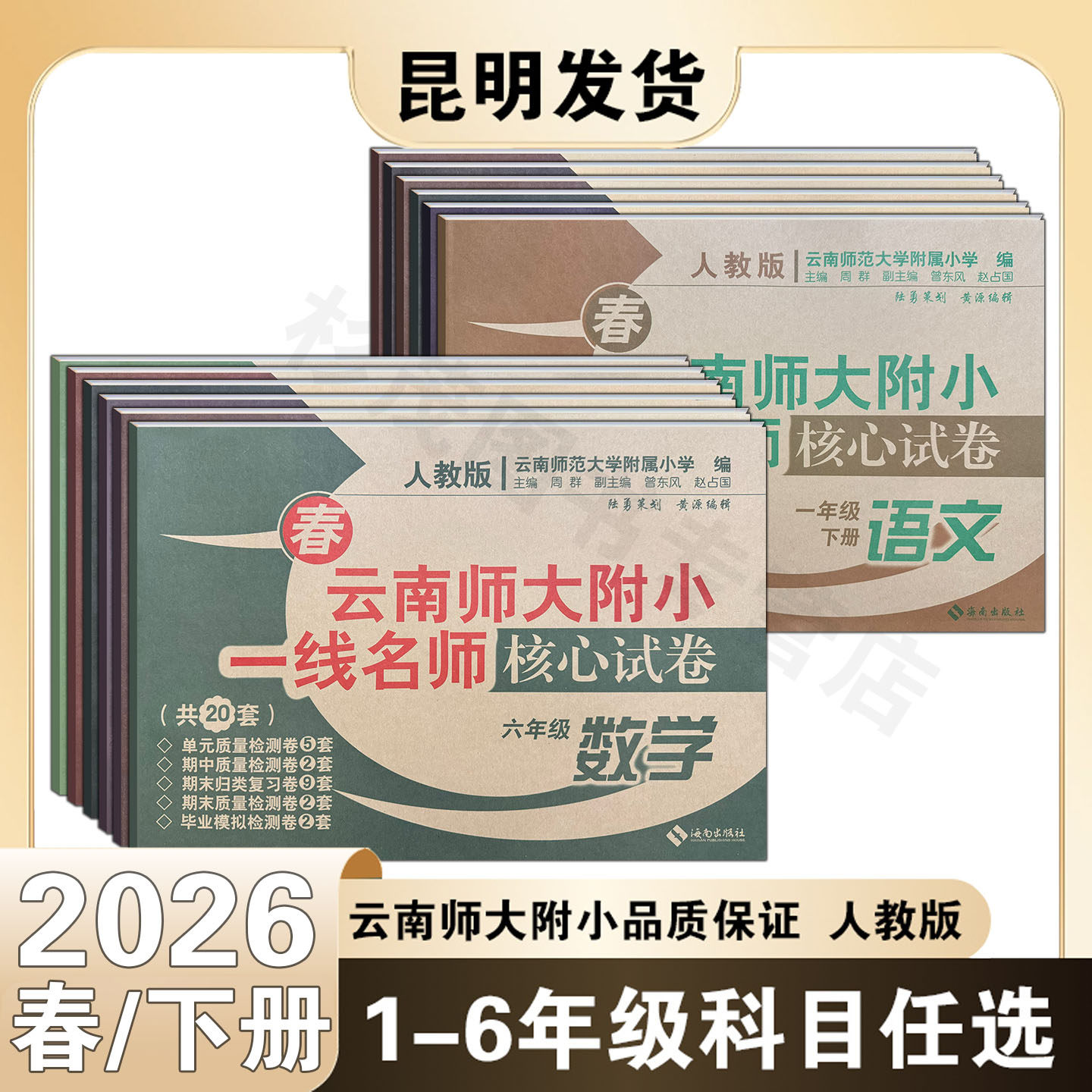 2026春云南师大附小一线名师核心试卷一二三四五六年级下册语文数学书人教版 同步训练小学同步练习辅导书小学语文数学同步辅导书