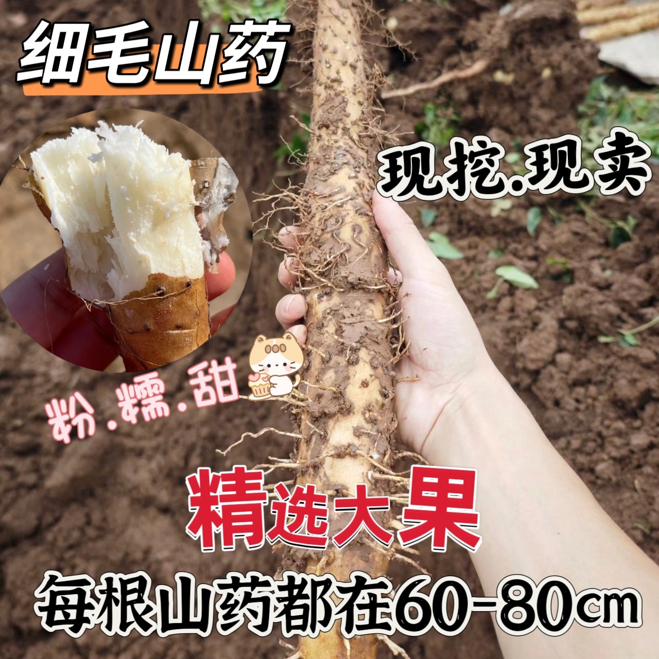 正宗邹平长山细毛山药新挖非河南焦作温县粗铁棍山药新鲜特产整箱