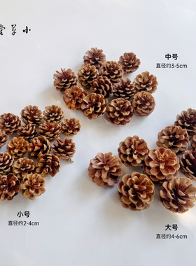 【松果】松塔新果手工diy圣诞树装饰挂饰鹦鹉啃食磨牙幼儿园环创