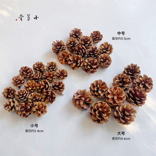 【松果】松塔新果手工diy圣诞树装饰挂饰鹦鹉啃食磨牙幼儿园环创