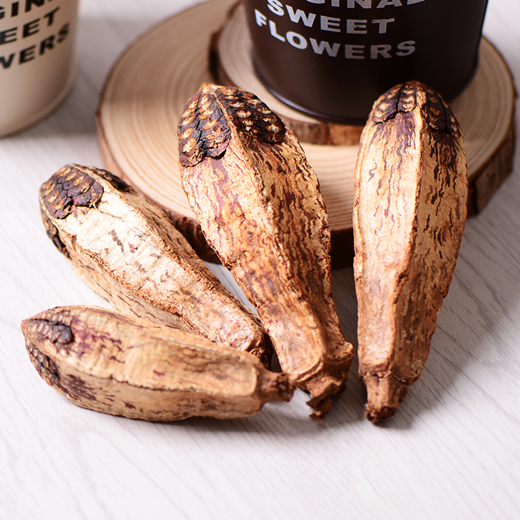 【杨桃果】进口天然干花果实 美式乡村装饰 软装布置植物干花挂饰