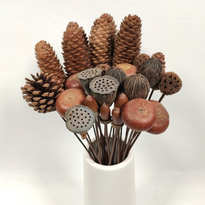 干花松果 棉花尤加利叶干花北欧风ins小清新家居装饰摆件壁挂花束