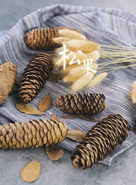 diy白云婚礼派对圣诞装饰松果