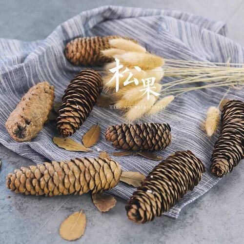 diy白云婚礼派对圣诞装饰松果