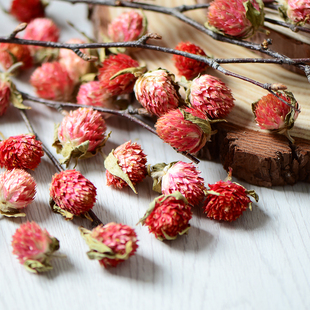 【千日红】天然植物风干花头 千日紫手作DIY材料 永生花香薰装饰