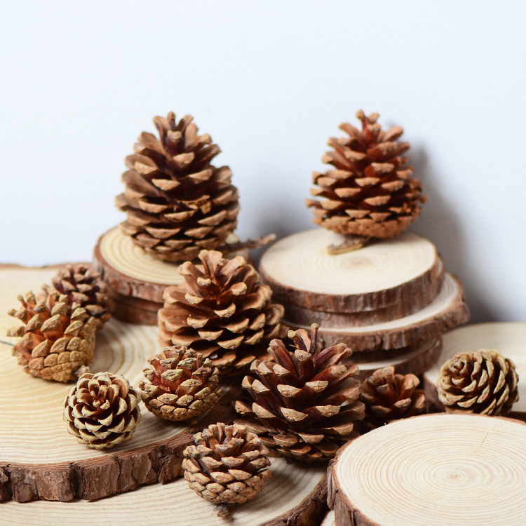 【松果】天然松子花 节日婚礼派对圣诞装饰布置松球 创意手工DIY