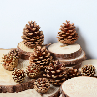 【松果】天然松子花 节日婚礼派对圣诞装饰布置松球 创意手工DIY