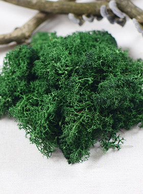 【永生苔藓】优质花材青苔 森系干花环胸花相框微景观玻璃罩材料