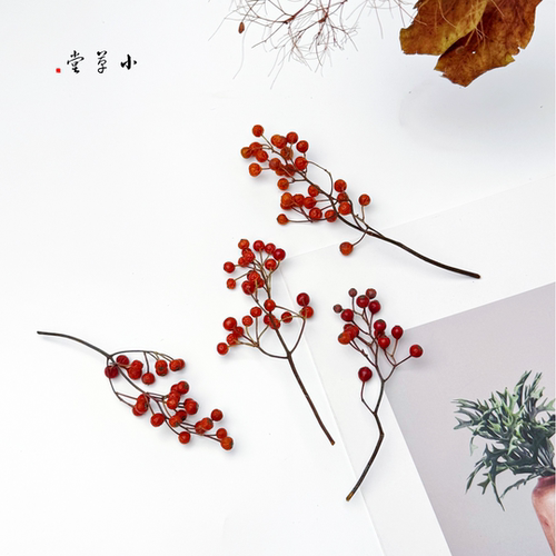 【山归来】小枝植物素材手工diy材料植物标本收集相框拍摄道具