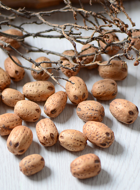 【五眼果】菩提子白色植物果实干花插花制作材料香薰香包填充花材