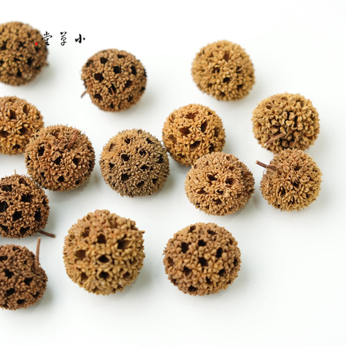 【枫树果】天然植物果实果壳干果手工diy材料幼儿环创教学圣诞