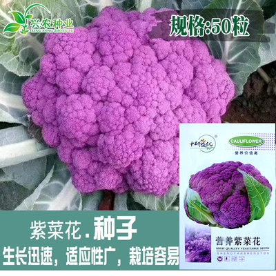 最新优惠券大全 优惠券