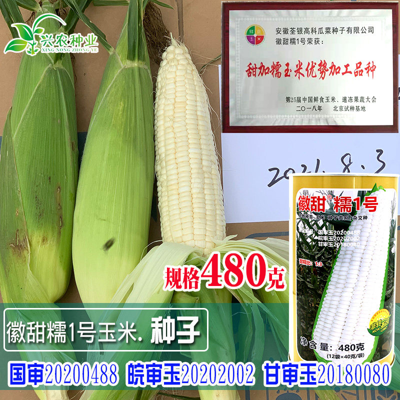 徽甜糯1号玉米种子 农田菜园审定白色甜加糯饱满单交种玉米籽