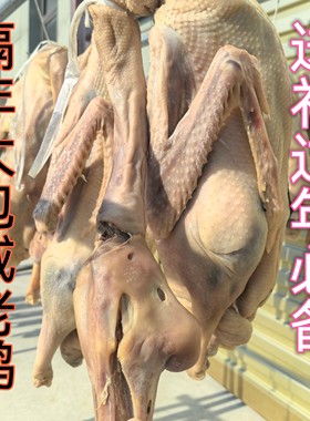 安徽特产腊鹅咸鹅农家自制咸鹅咸鸭咸鸡咸鸭肠咸鸭胗咸鸭肠