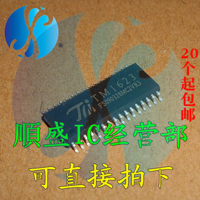 TM1623SOP32全新贴片芯片