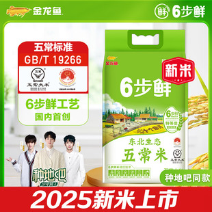 十个勤天联名款金龙鱼6步鲜东北生态五常大米5kg2025年新米