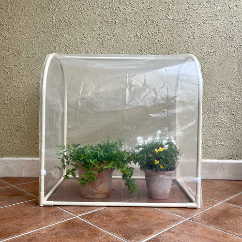 米蔻绿植园艺多肉绿植小花棚