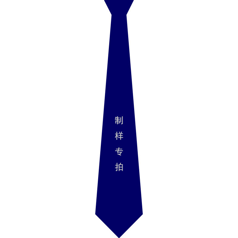 领带制样样品工厂订制青年休闲职业装工装定纯色制手打拉链免打