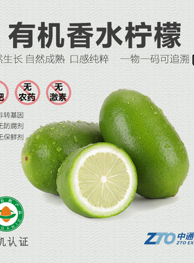 有机香水柠檬5斤 新鲜水果无籽云南青柠檬黄自然熟维C丰富