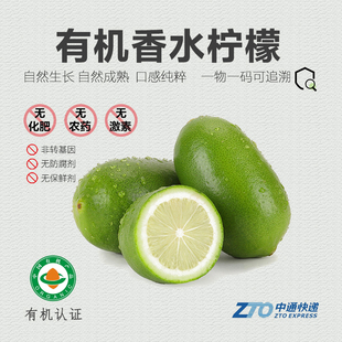 有机香水柠檬5斤 新鲜水果无籽云南青柠檬黄自然熟维C丰富