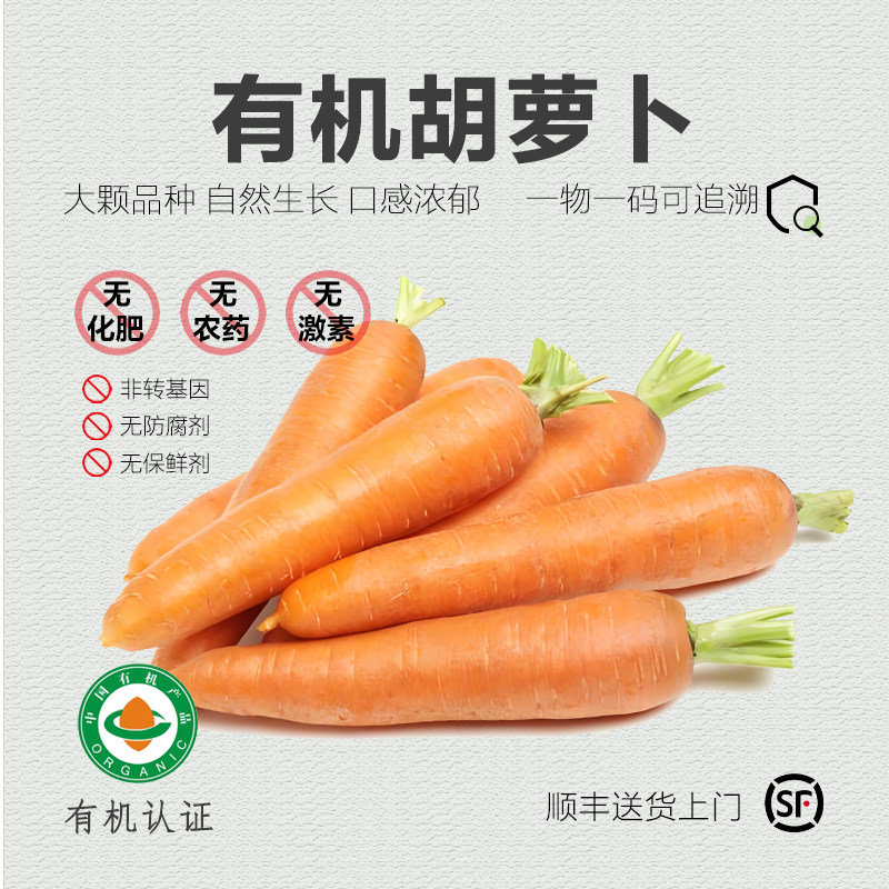 有机胡萝卜·新鲜蔬菜沙拉菜榨汁4斤沈佳农,水产肉类/新鲜蔬果/熟食,萝卜/胡萝卜,淘宝优惠券,粉丝福利购,淘宝优惠卷