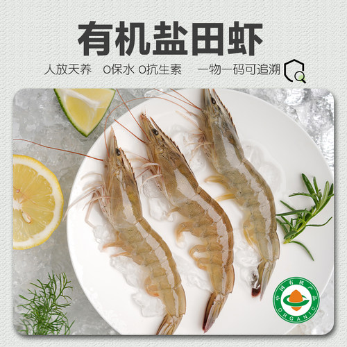 有机虾生态盐田虾活虾速冻虾仁无抗鲜虾宝宝辅食冷冻大虾俏虾客®