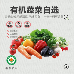 有机蔬菜新鲜时令有机菜配送农家自种当季 上市 青菜沙拉菜 新品