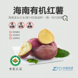 有机红薯5斤 新鲜番薯海南沙地板栗薯黄心西瓜红蜜薯芋头蒸烤地瓜
