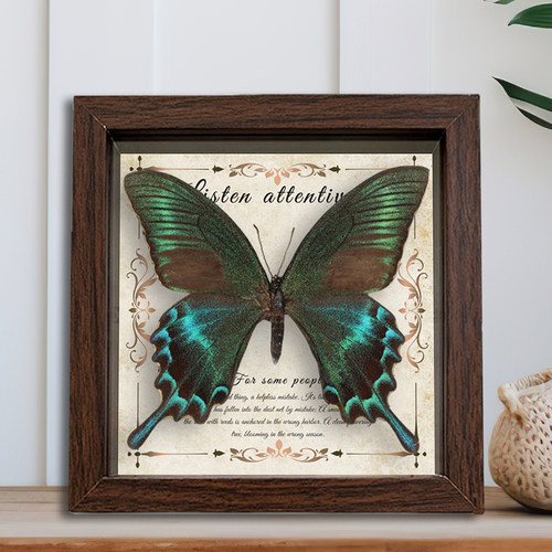 真蝴蝶标本相框木质装饰画摆件
