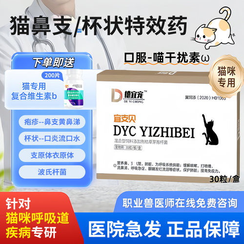 猫咪口炎杯状病毒治疗猫鼻支感冒