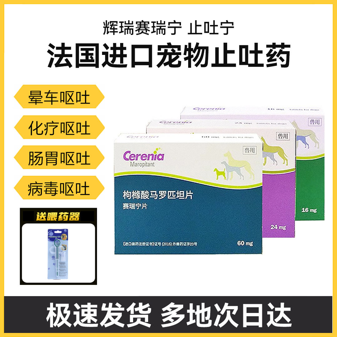 晕车晕船晕机肠胃炎猫犬通用止吐