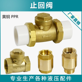 20PPR双活接自来水管水表单向阀 PVC止回阀逆止阀15 黄铜卧式 立式