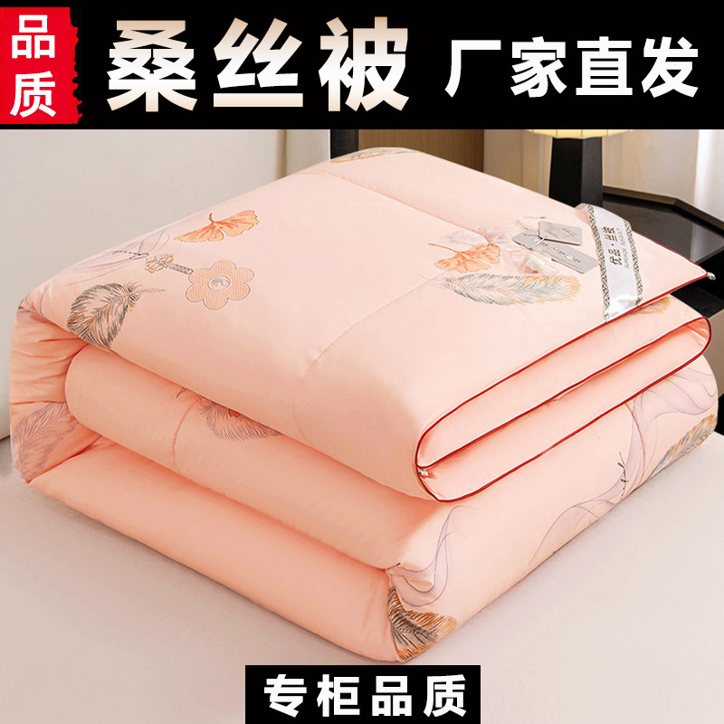 被子薄款桑丝棉被芯轻薄空调被夏凉被子春秋冬被特价棉絮四季通用