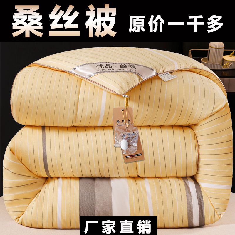 加厚桑丝被子冬被保暖冬天棉被芯