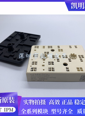 SKIIP32NAC12T42 SKiiP31NAC12T4T42 SKIIP32NAB12T45 SKIIP31NAC