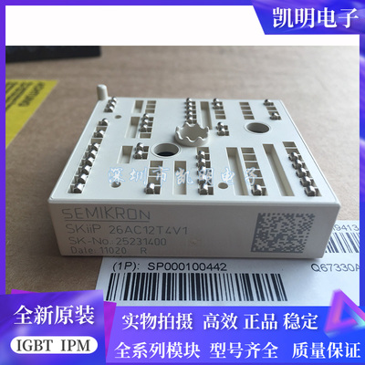 SKIIP26AC12T4V1 SKIIP25AC126V1 SKIIP25AC12T4V1 KIIP24AC126V1