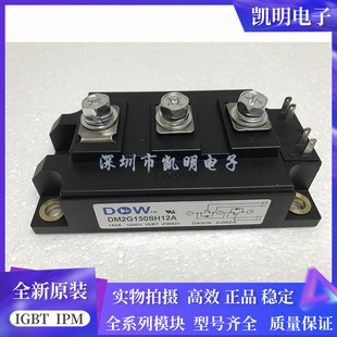 全新DM2G150SH12A DM2G200SH12A DM2G300SH12A DM2G150SH12AE现货
