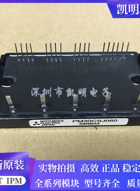 模块 PM20CSJ060 PM15CSJ060 PM30CSJ060 PM10CSJ060 PM30CNJ060